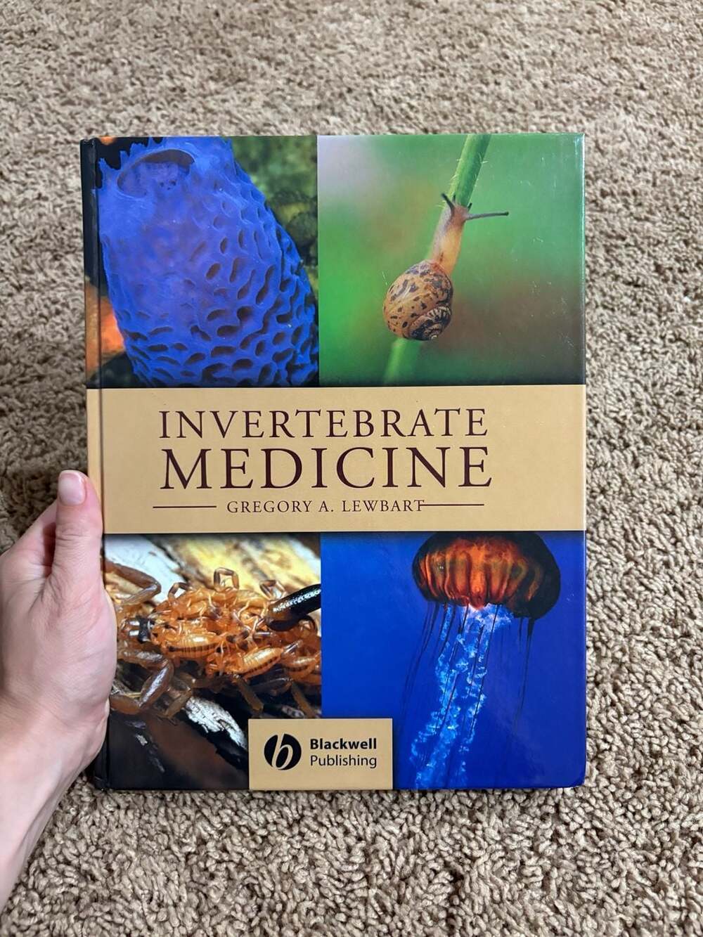 Invertebrate Medicine Gregory A. Lewbart Hardcover Veterinary Book